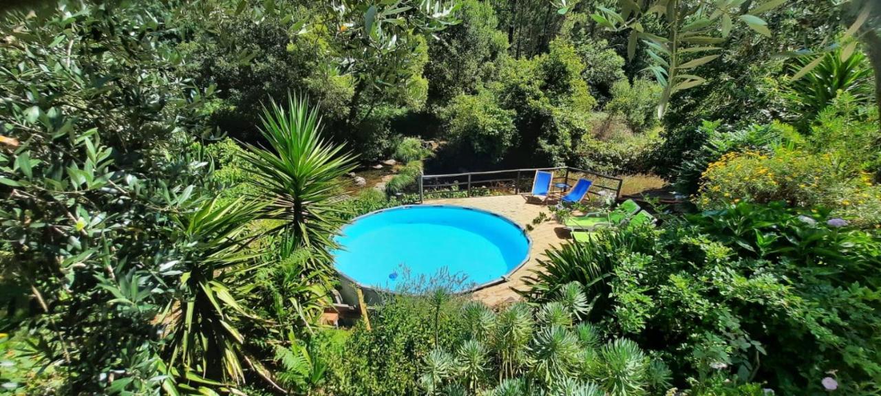 Casa Ribeira Διαμέρισμα Coentral Das Barreiras Εξωτερικό φωτογραφία