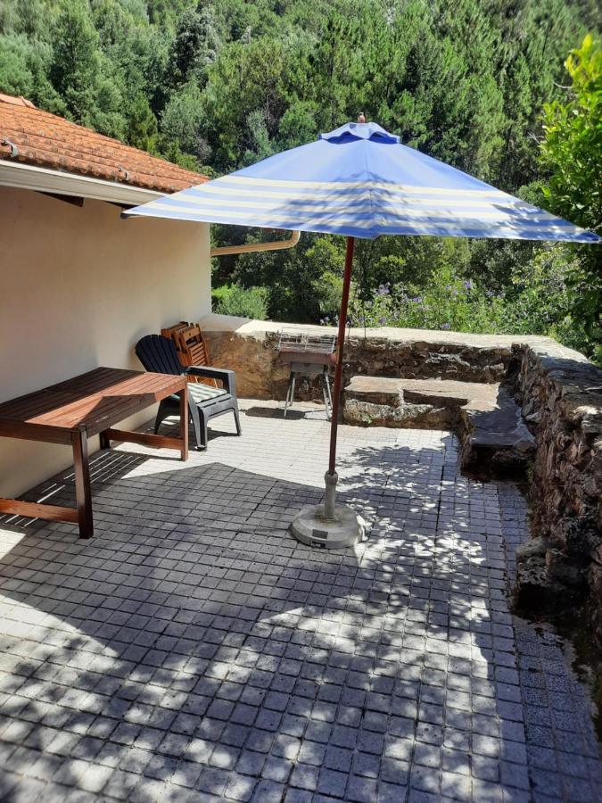 Casa Ribeira Διαμέρισμα Coentral Das Barreiras Εξωτερικό φωτογραφία
