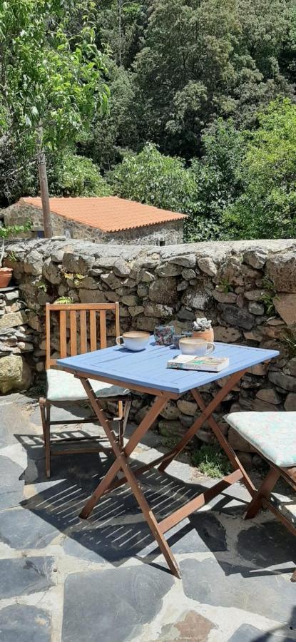 Casa Ribeira Διαμέρισμα Coentral Das Barreiras Εξωτερικό φωτογραφία