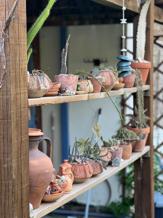 Casa Ribeira Διαμέρισμα Coentral Das Barreiras Εξωτερικό φωτογραφία