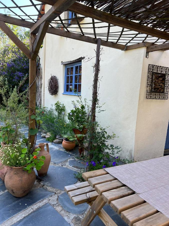 Casa Ribeira Διαμέρισμα Coentral Das Barreiras Εξωτερικό φωτογραφία