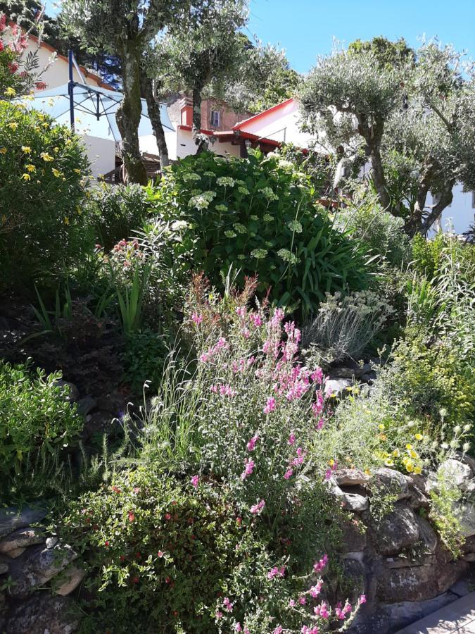 Casa Ribeira Διαμέρισμα Coentral Das Barreiras Εξωτερικό φωτογραφία