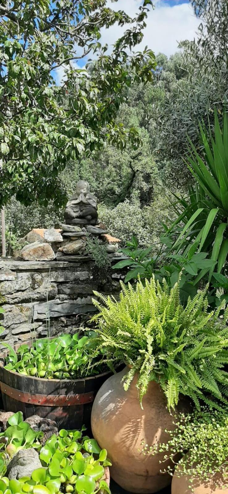 Casa Ribeira Διαμέρισμα Coentral Das Barreiras Εξωτερικό φωτογραφία