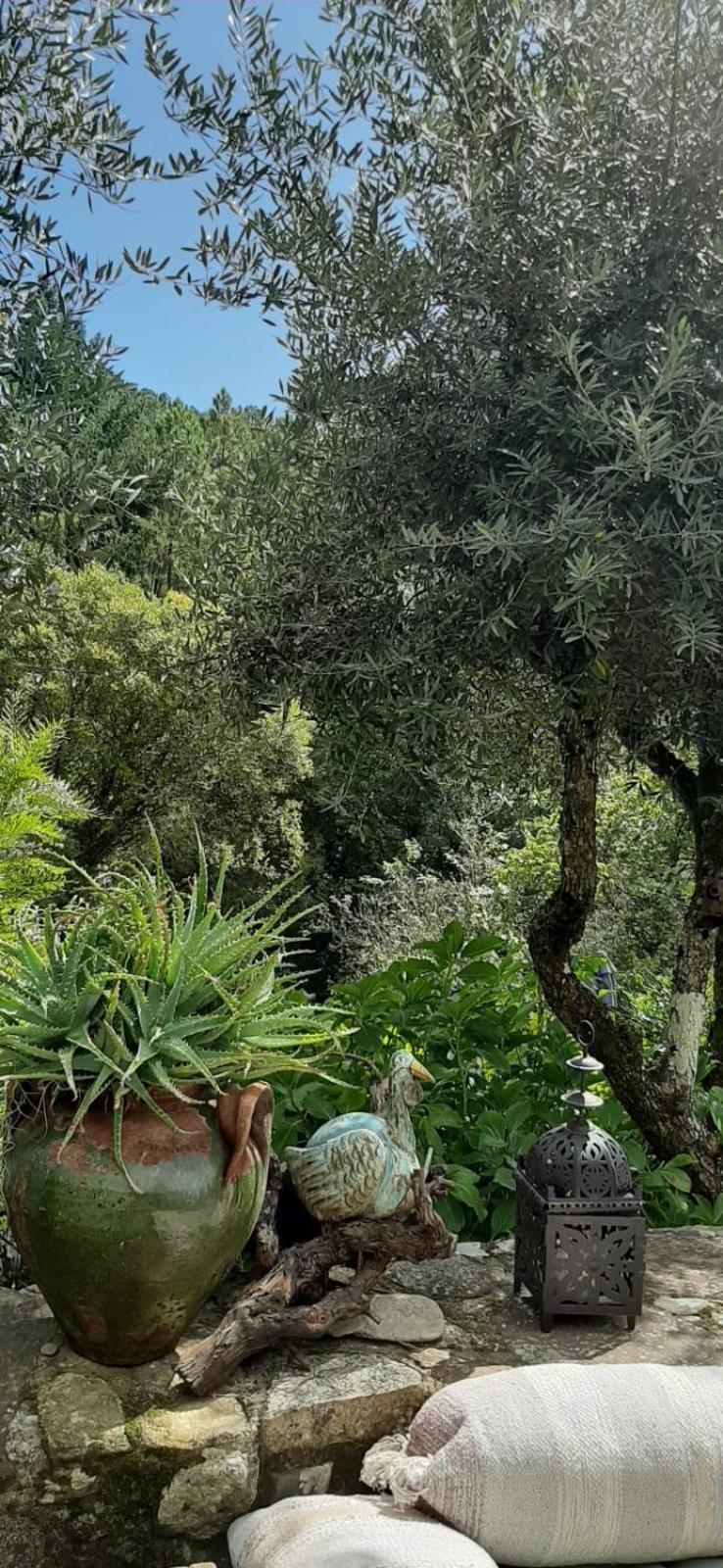 Casa Ribeira Διαμέρισμα Coentral Das Barreiras Εξωτερικό φωτογραφία