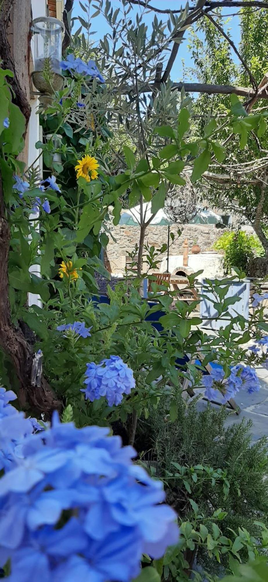Casa Ribeira Διαμέρισμα Coentral Das Barreiras Εξωτερικό φωτογραφία